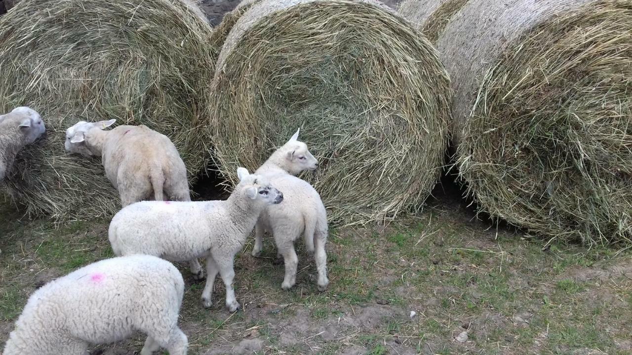 Liepziedos Hébergement de vacances *